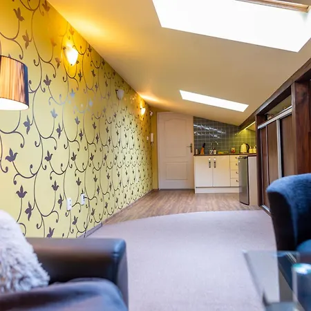 Apartament Na Poddaszu Zdunska Wola Zewnętrze zdjęcie